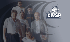 A short presentation of CWSP